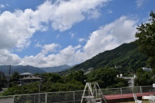 詳細を見る