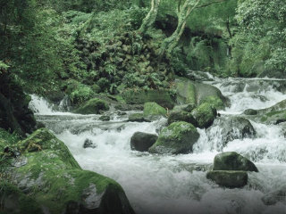 かぼちゃ美術館