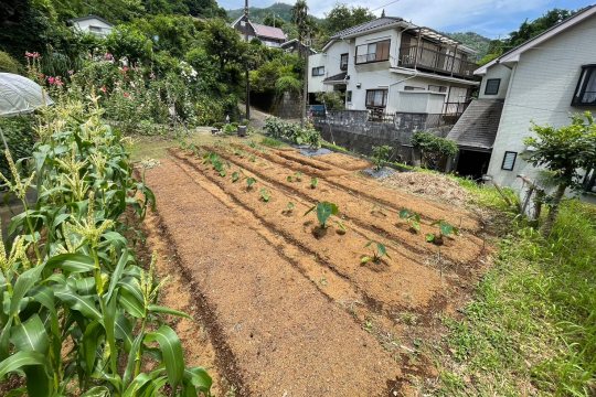 湯河原町宮上　緑豊かな自然環境　陽当り良好な住宅地