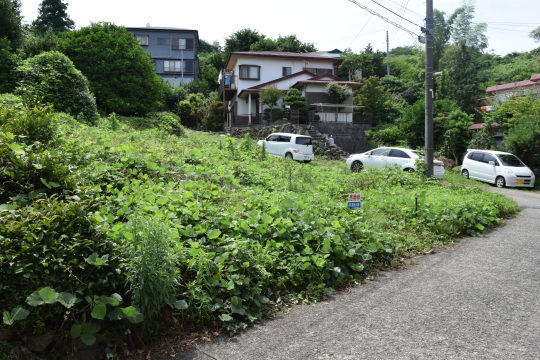 土地の様子