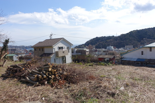 土地の様子