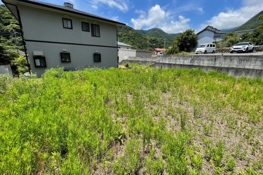 土地の様子