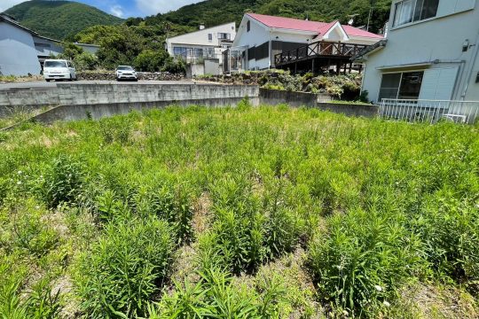 土地の様子