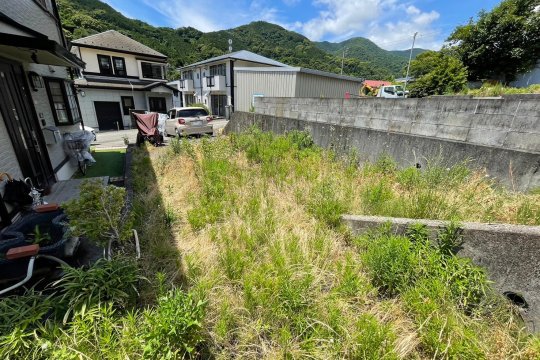 土地の様子