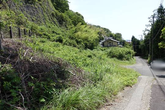 土地の様子