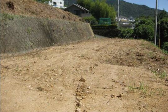 土地の様子