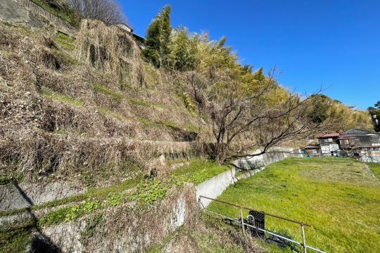 土地の様子