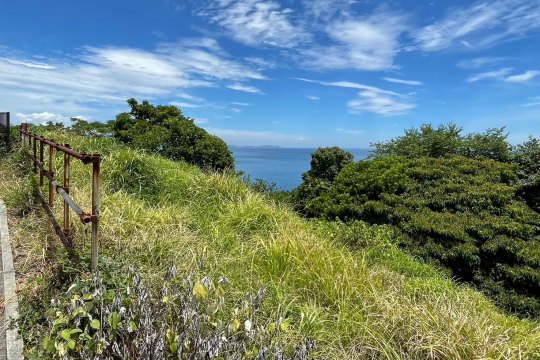 真鶴町真鶴　東向きオーシャンビューの土地　88.6坪