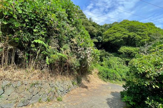 土地の様子
