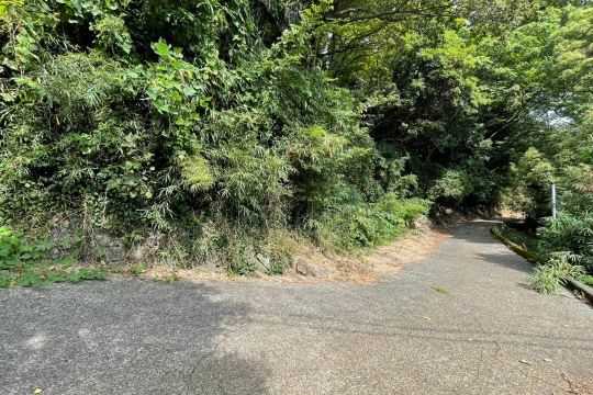 土地の様子