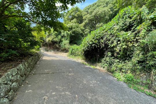 土地の様子