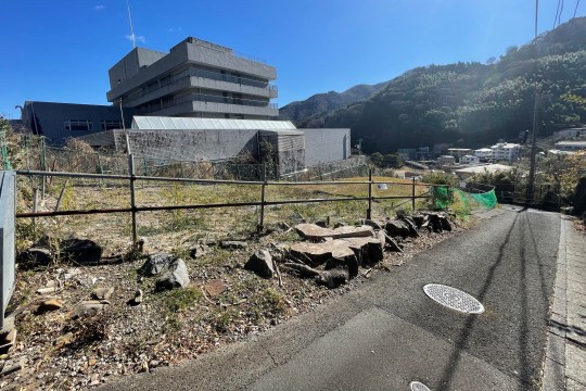 土地の様子