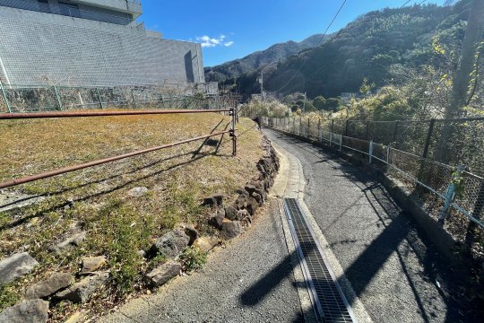 土地の様子