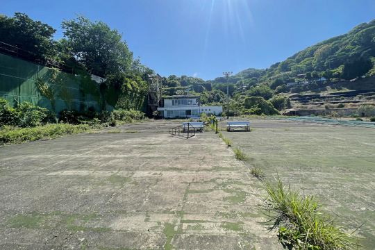 土地の様子