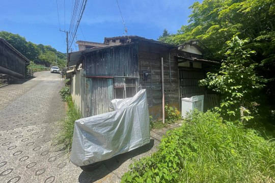 土地の様子