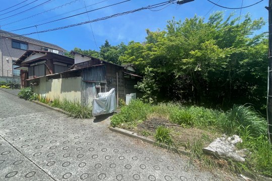 土地の様子