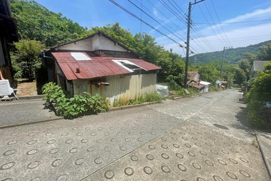 土地の様子