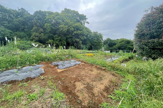 湯河原町吉浜　真鶴駅徒歩圏内　約827坪　畑