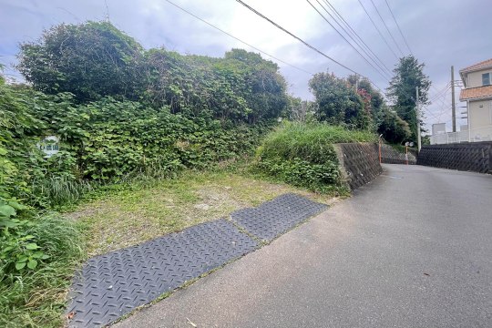 土地の様子