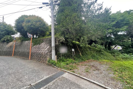 土地の様子
