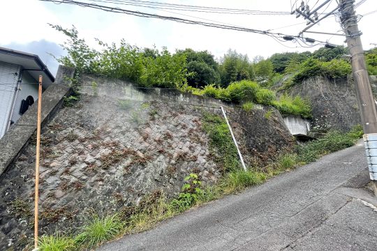 土地の様子