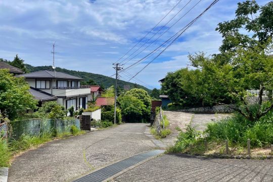 土地の様子