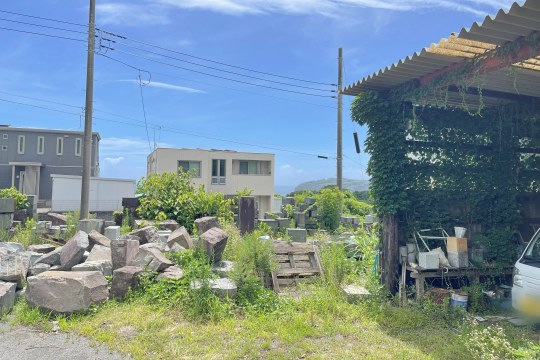 土地の様子