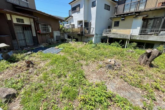 土地の様子