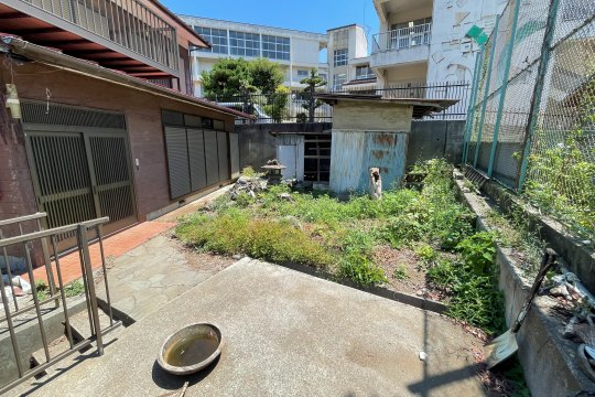 土地の様子