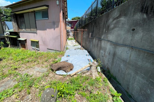 土地の様子