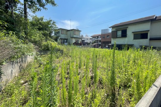 土地の様子