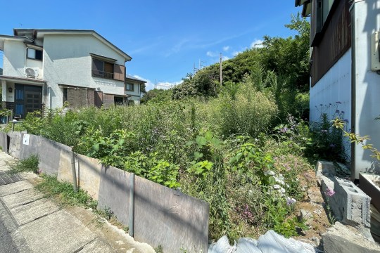 土地の様子