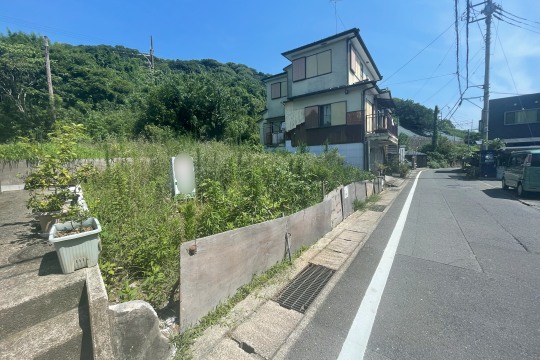 土地の様子