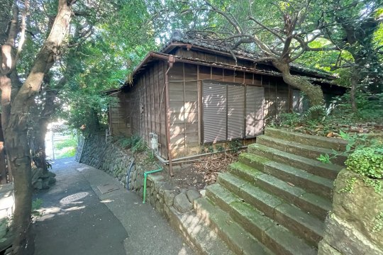 土地の様子