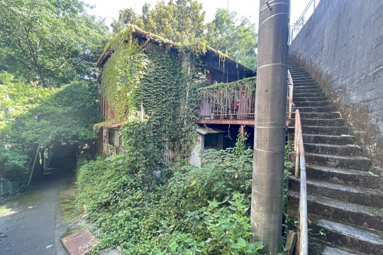 土地の様子