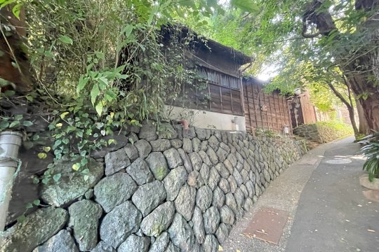 土地の様子