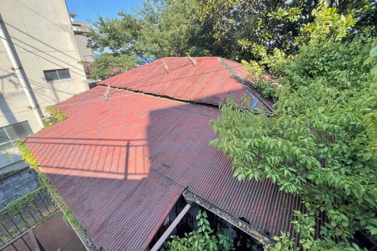 土地の様子