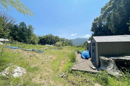 土地の様子