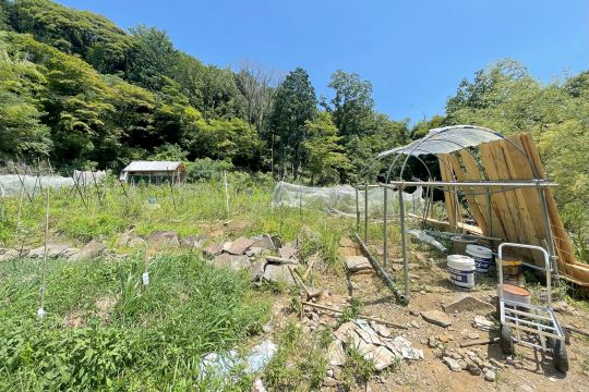 土地の様子