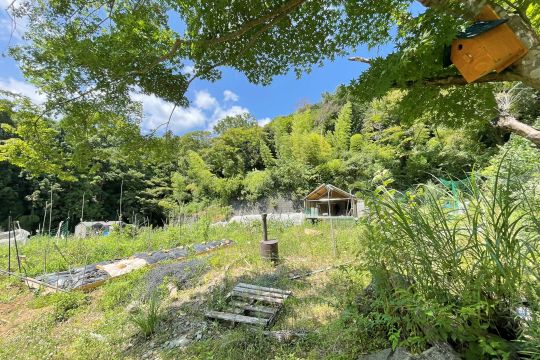 土地の様子