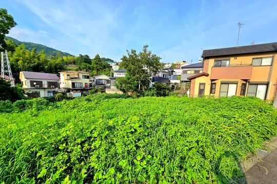 土地の様子