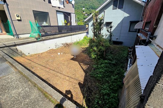 土地の様子