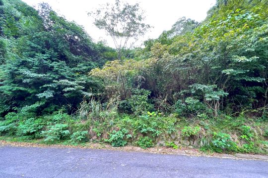 湯河原町宮上　山並みを望む高台の事業用地　約1815坪の広大な敷地