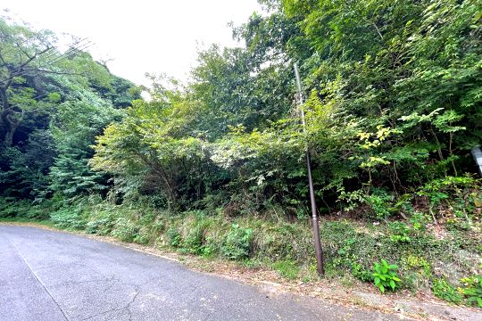 土地の様子