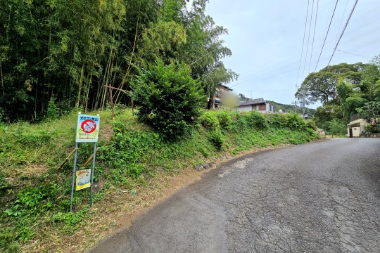 土地の様子