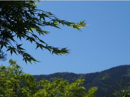 現地からの眺望