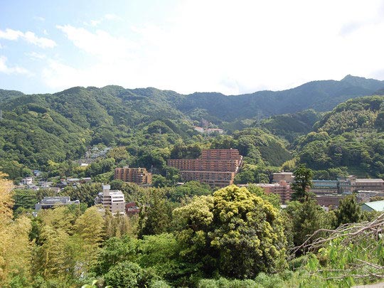 現地からの眺望