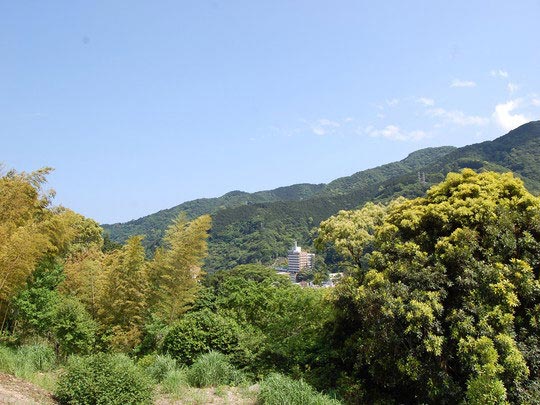 現地からの眺望