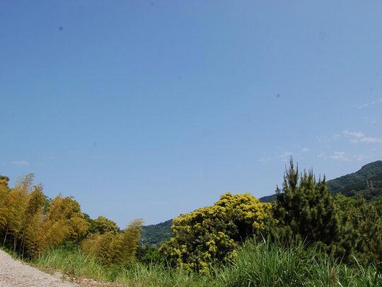 現地からの眺望