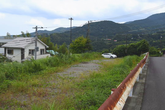 土地の様子